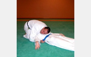 Immobilisation N°3
Kami-Shiho-Gatame