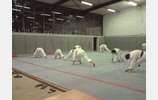 Reprise des cours au Judo Loisir