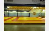 Entrainement collectif au Judo Club Catalan